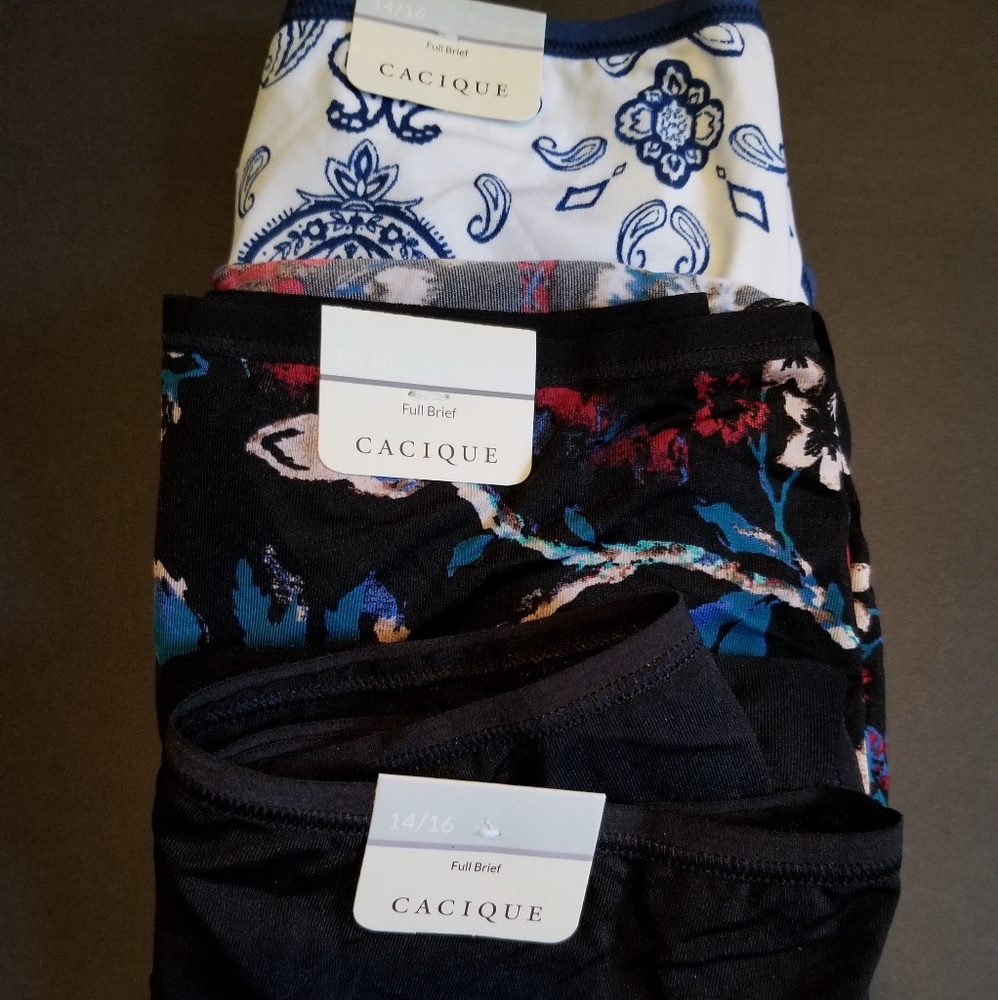 Cacique Silk Panties